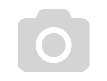 амортизатор задний EX553101E200