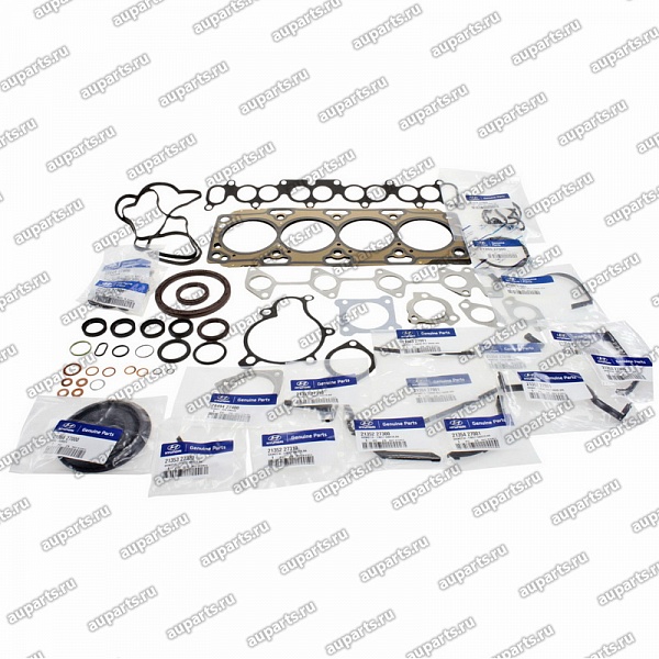 комплект прокладок 2091027F50