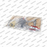 комплект прокладок 209202BG00