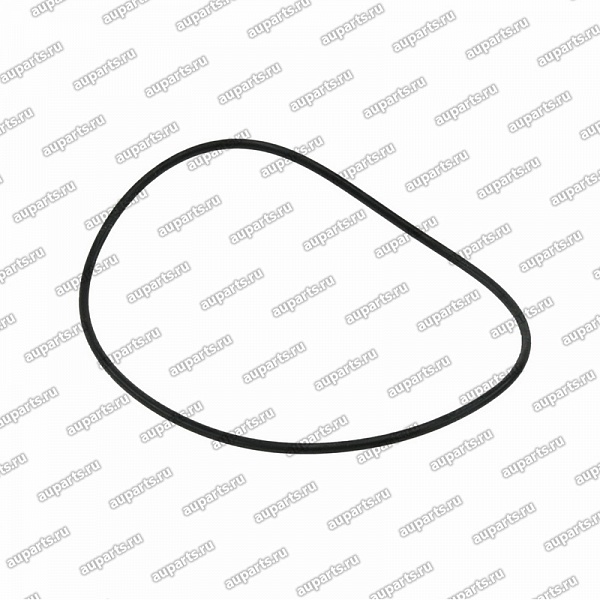 кольцо водянного насоса 1710510000