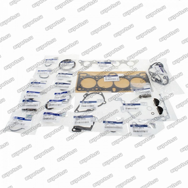 комплект прокладок 2091026C01