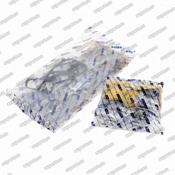 комплект прокладок 2091023G00