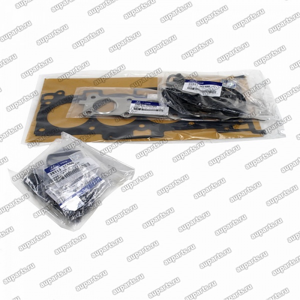 комплект прокладок 209202GL02