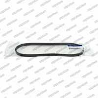 ремень кондиционера [4pk809] 977131C200