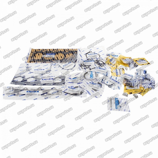 комплект прокладок 2091023G00