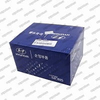 насос водяной 251004A300