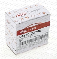 ролик ремня грм 248102X700